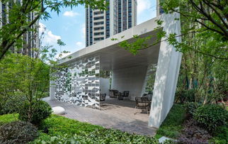 看見.重慶 最新7大品質大區 示范區考察 項目專項分享會 龍湖 東原 融創 金科 香港置地 萬科